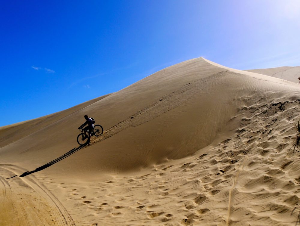 Giant Sand Dunes, North Island