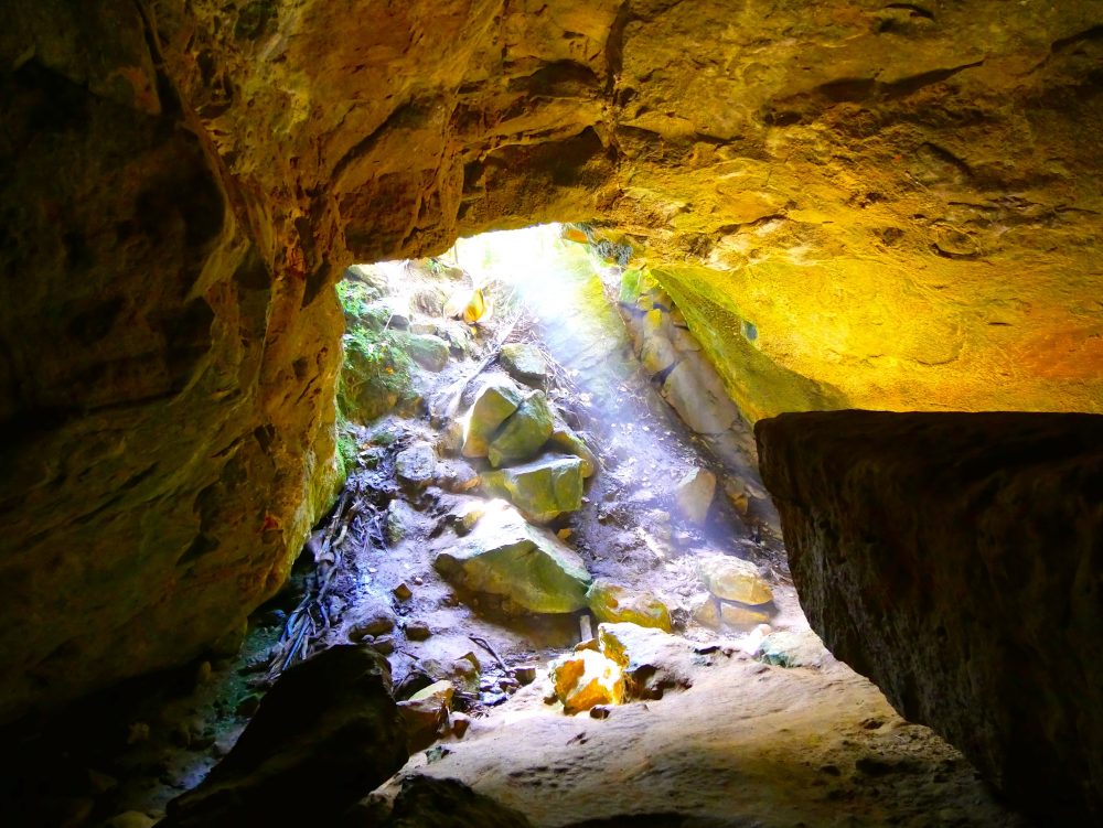 Höhle, Paparoa NP